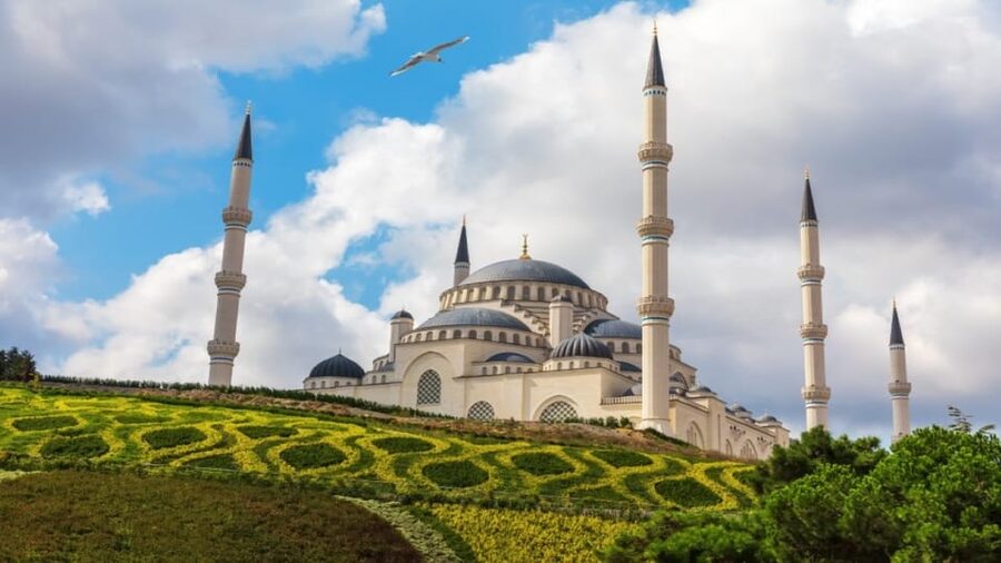 Istanbul: City Hightlights Bus Tour and Bosphorus Cruise - Guides, languages, and family needs