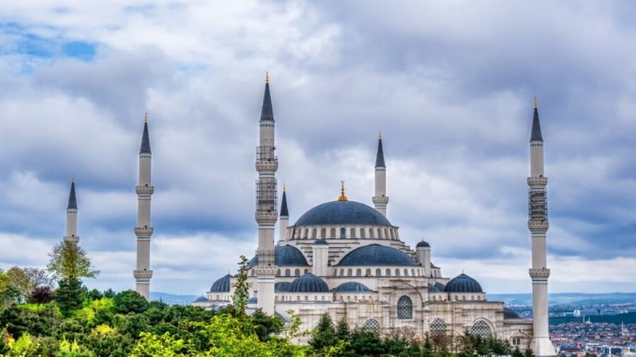 Istanbul: City Hightlights Bus Tour and Bosphorus Cruise - What the transport package really saves you