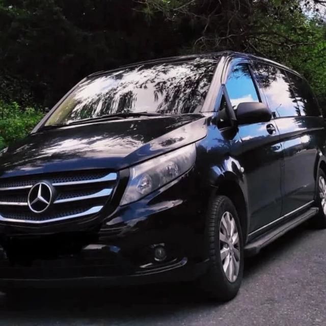 Istanbul: Customizable Sightseeing Private Driving Tour - A private car for Istanbul’s tricky traffic