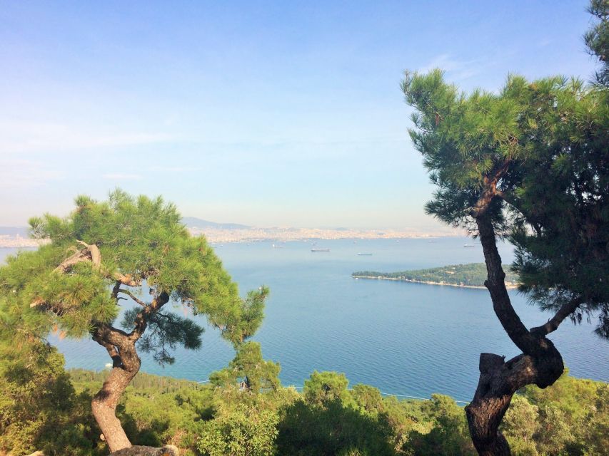 Istanbul: Day Trip to the Princes' Islands - Leaving Istanbul behind on the Marmara Sea