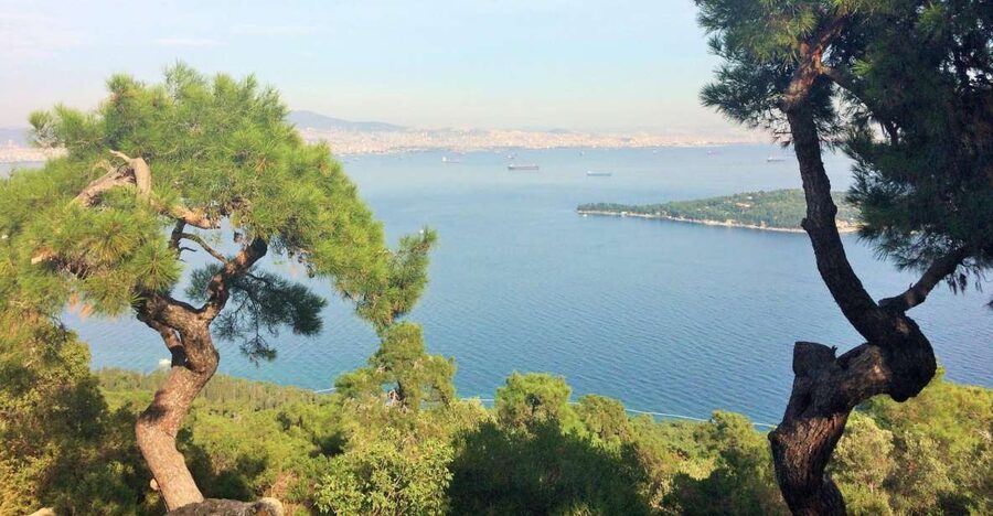 Istanbul: Day Trip to the Princes' Islands - Walking past bays, beaches, and old summer houses