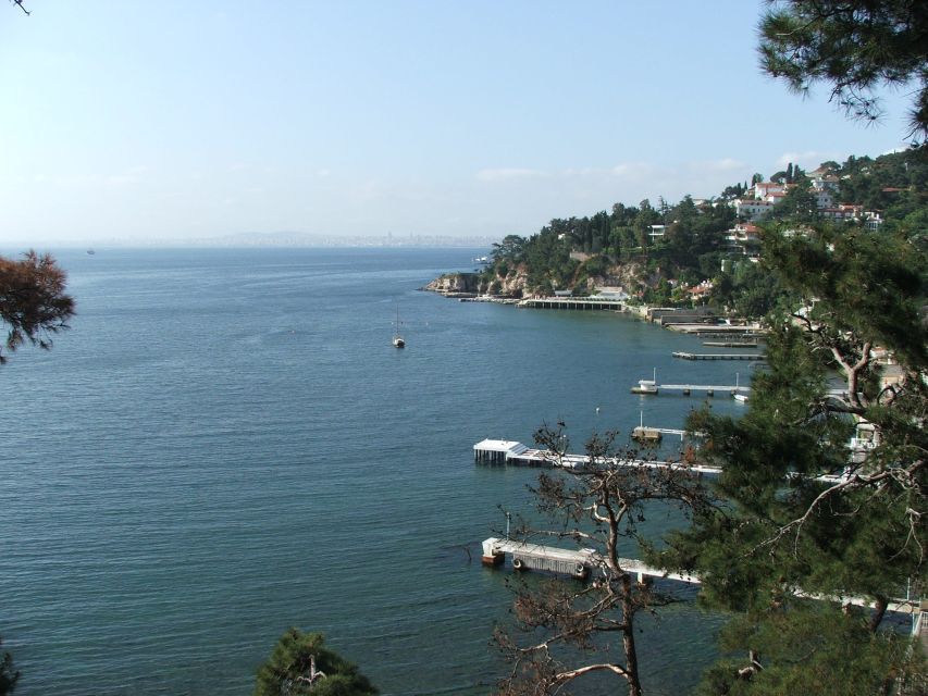 Istanbul: Day Trip to the Princes' Islands - Arriving at Büyükada, the largest island