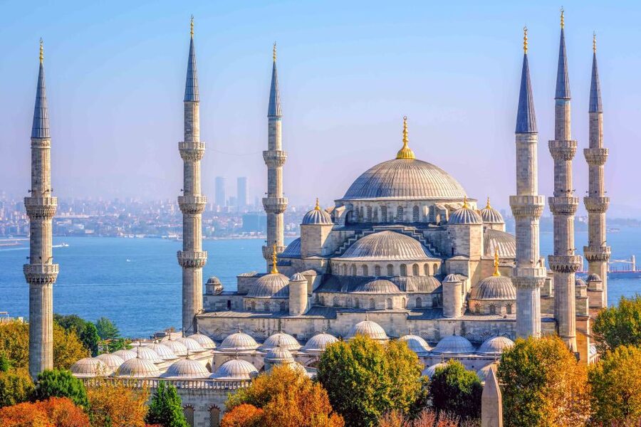 Istanbul: Full-Day Guided Tour - Lunch and the value of the optional meal
