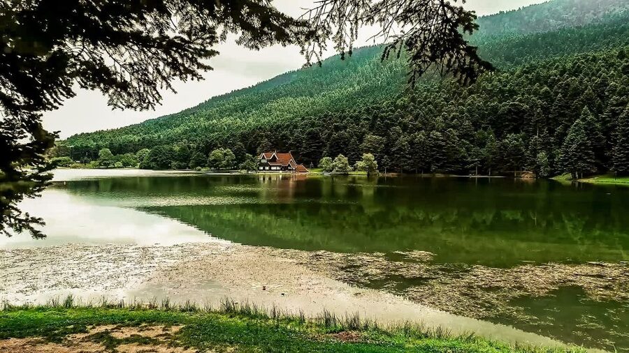 Istanbul: Full-Day Sapanca Lake and Masukiye Tour with Lunch - Key points before you book