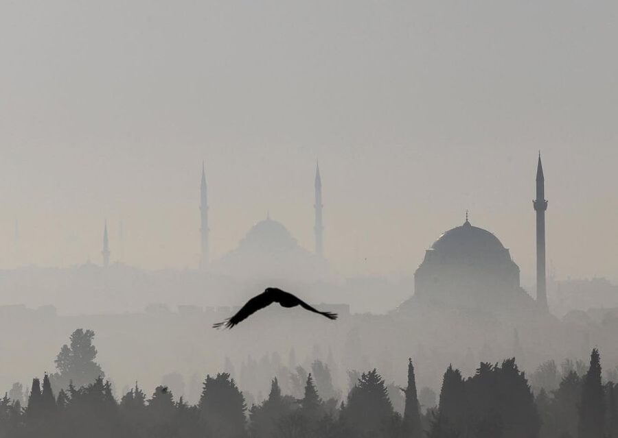 Istanbul: Hagia Sophia, Blue Mosque, Cistern & Bazaar Tour - The Blue Mosque and its calm interior