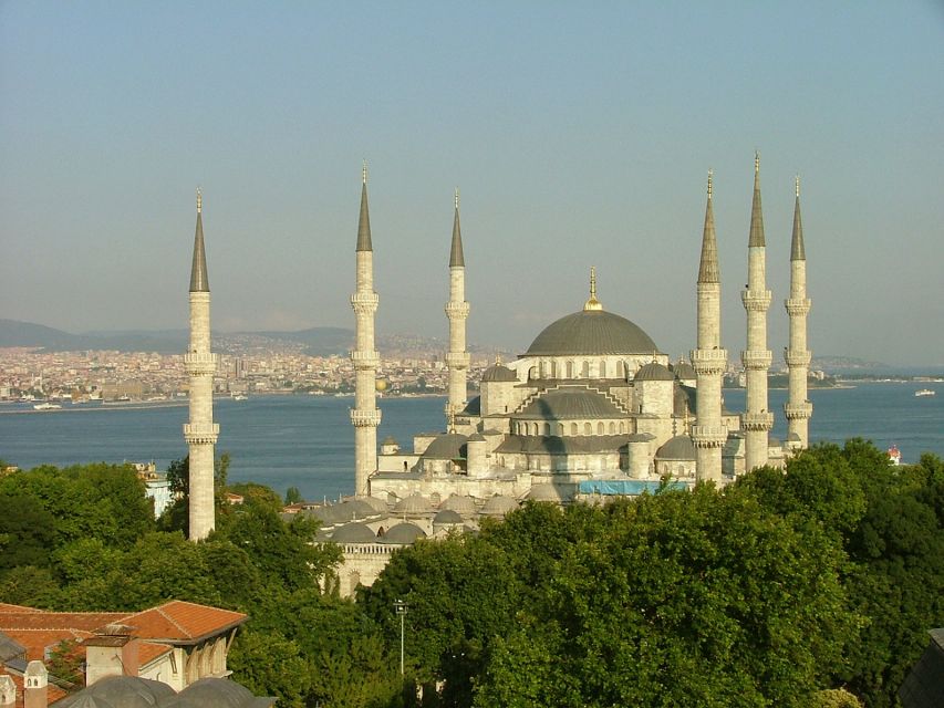 Istanbul: Half-Day Morning Hagia Sophia & Blue Mosque Tour - How the transport and group size affect your time