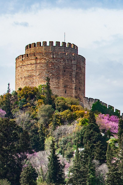 Istanbul: Morning or Sunset Cruise with Guide and Snacks - Why the Bosphorus is the right place to see Istanbul