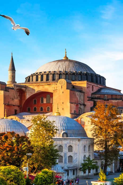 Istanbul: Old City Full-Day Tour -(Entry Fees Inculucing) - The Grand Bazaar, with shopping built into the day
