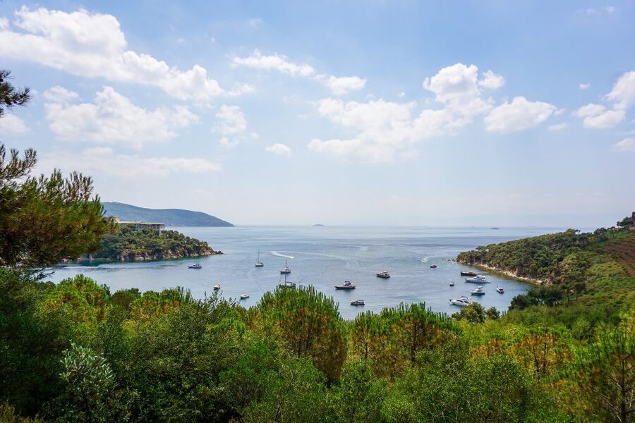 Istanbul: Princes' Islands Cruise w/Music, Lunch & Transfer - Lunch on the Boat, With Music and a Basic Menu