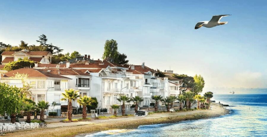 Istanbul: Princes Islands Tour with Heybeliada and Buyukada - Should you book the Princes’ Islands tour?