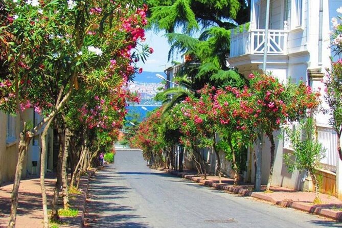 Istanbul: Princes Islands Tour with Heybeliada and Buyukada - Büyükada and its wooden mansions