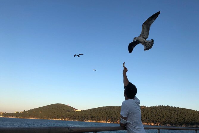 Istanbul: Princes Islands Tour with Heybeliada and Buyukada - Lunch on board and free time by the water
