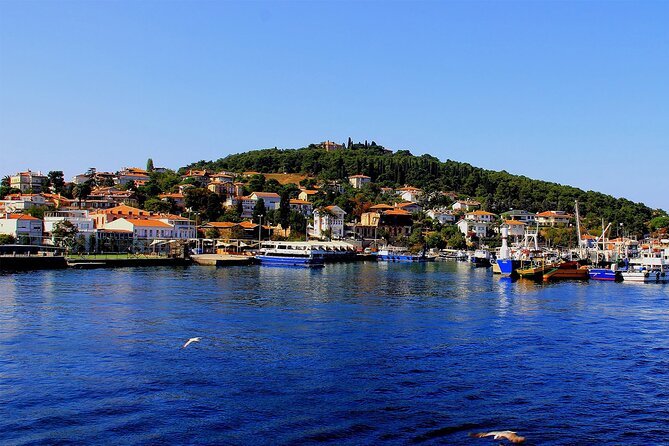 Istanbul: Princes Islands Tour with Heybeliada and Buyukada - The return boat and the shopping stop