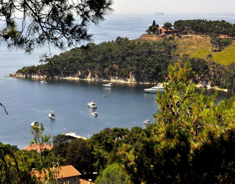 Istanbul: Princes' Islands Tour with Lunch and Transfers - What lunch is really like