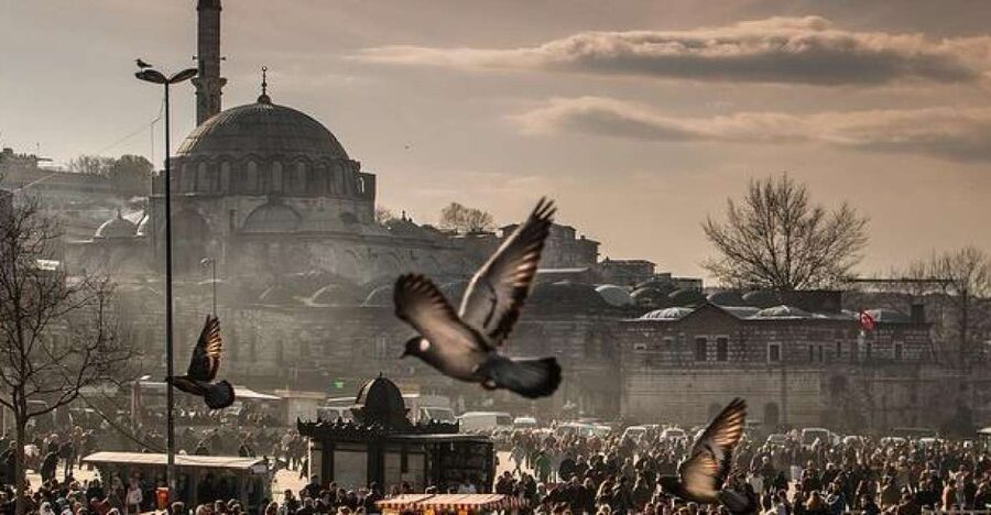 Istanbul: Private Full-Day Old City Highlights Tour - Sultan Ahmed Mosque and the Hippodrome