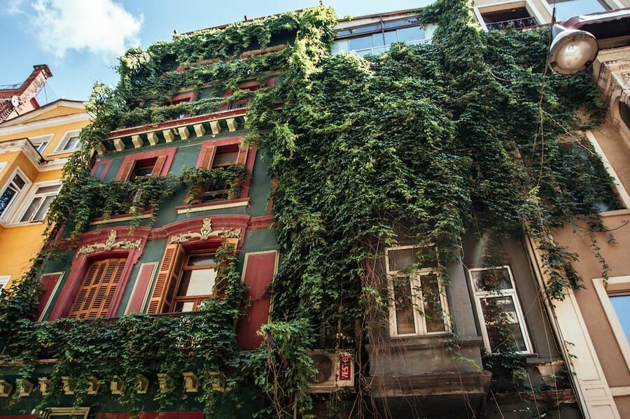 Istanbul: Private Guided Food Tour with 10 Tastings - Key points to know before booking