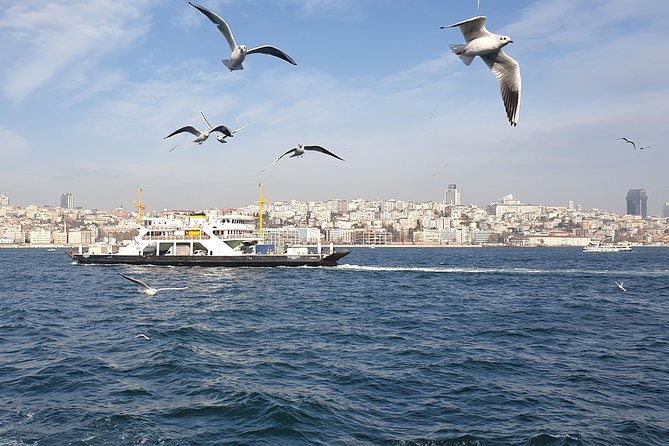 Istanbul Private Guided Tour for Layover Flight. Transfer incl. - The Basilica Cistern rewards the short descent