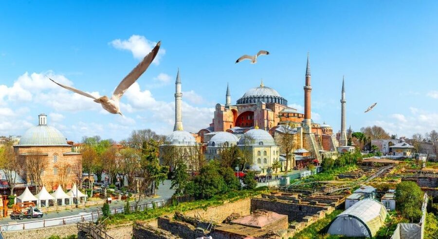Istanbul: Private Guided Walking Tour - What the $74 price really covers