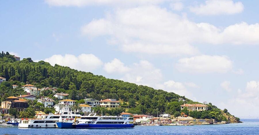 Istanbul: Round-Trip Ferry Tickets to the Princes' Islands - The former Greek Orphanage