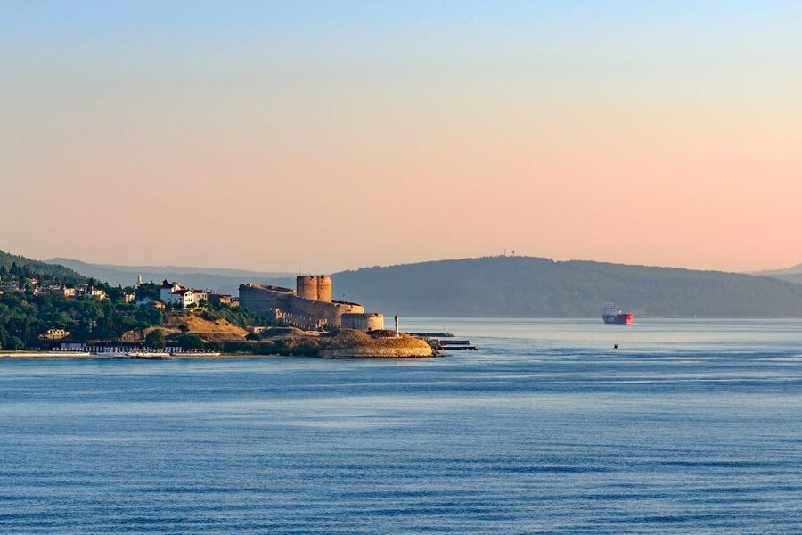 Istanbul: Troy Guided Bus Tour with Ferry Tickets & Lunch - What the guides add to the experience
