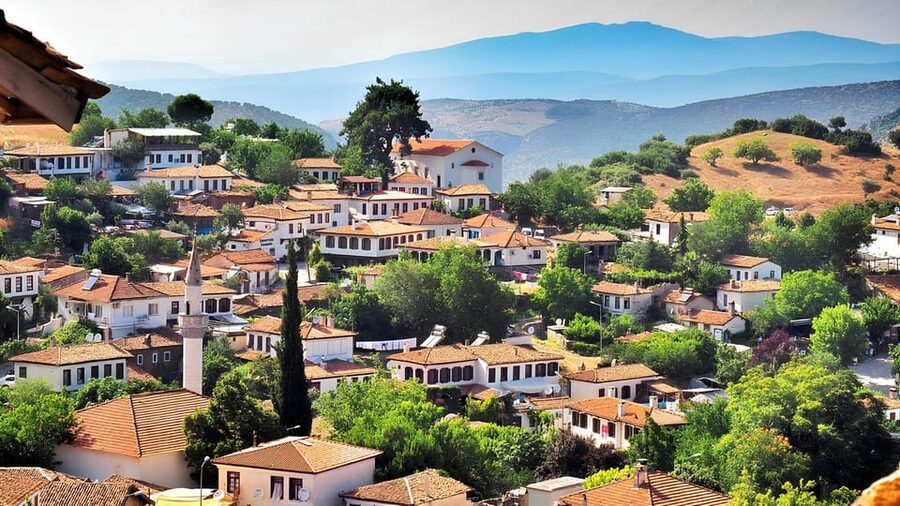 Izmir : Ephesus and Sirince Guided Tour - Who should book this Izmir day trip?