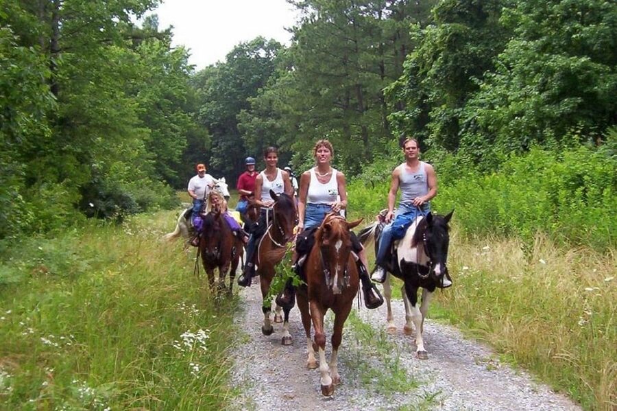 Kemer Horse Safari, pick up from Kiris, Beldibi, Goynuk - Booking, cancellation, and practical planning