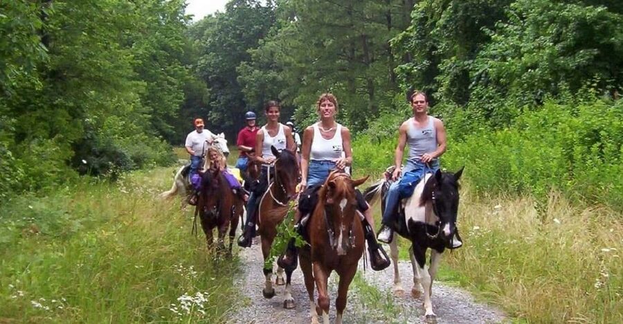 Kemer Horse Safari, pick up from Kiris, Beldibi, Goynuk - Pickup details from Kiris, Beldibi, and Goynuk