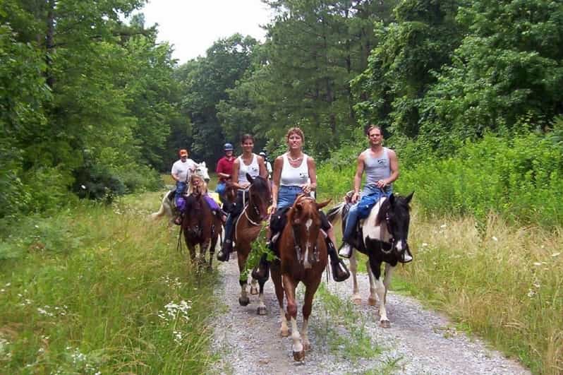 Kemer Horse Safari, pick up from Kiris, Beldibi, Goynuk - From the stable to the Kemer pine forest