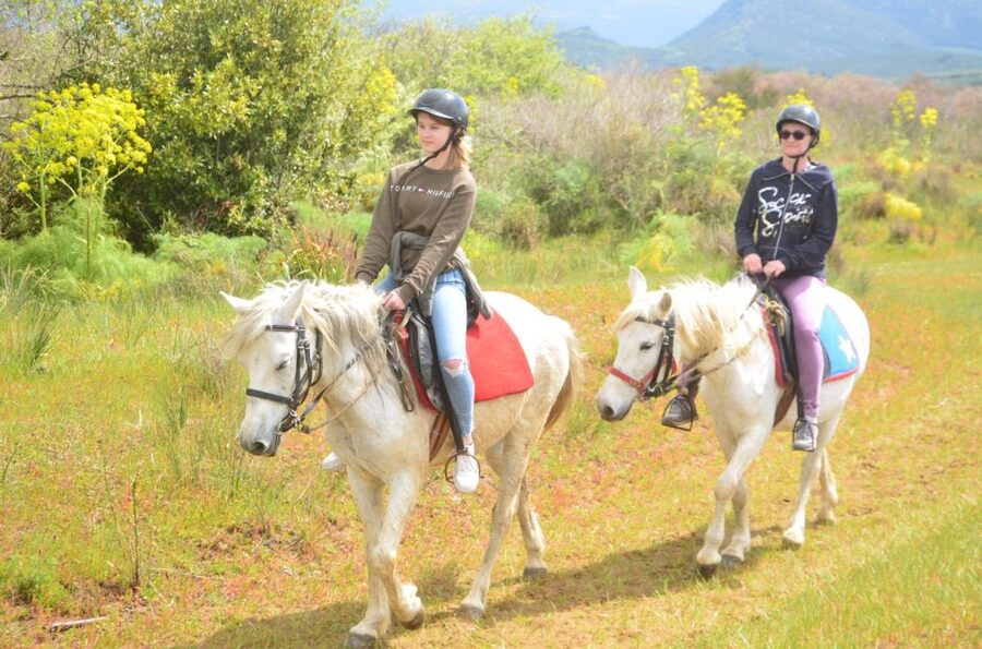 Kusadasi: Beach and Forest Horse Riding Tour - Key points at a glance