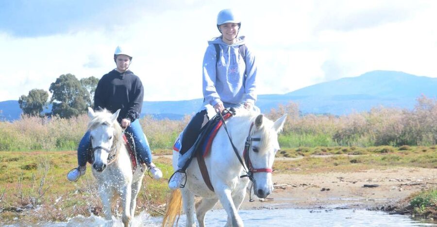 Kusadasi: Beach and Forest Horse Riding Tour - From Kusadasi to the horse safari park