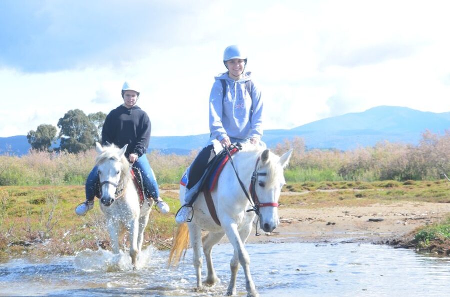Kusadasi: Beach and Forest Horse Riding Tour - Meeting the horse and getting comfortable