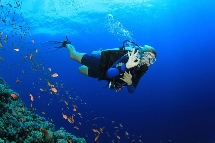 Kusadasi: Diving Experience with Lunch and Transfer - The morning pickup from Kusadasi