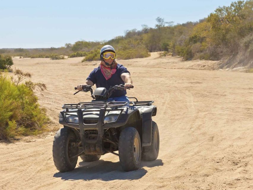 Kusadasi: Guided Quad Biking Tour - River Paths, Woodland, and Dusty Tracks