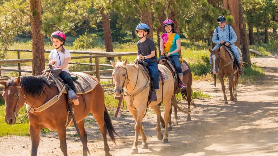 Kusadasi: Horse Riding Beach and Forest w/Transfer - Meeting the horses and getting ready