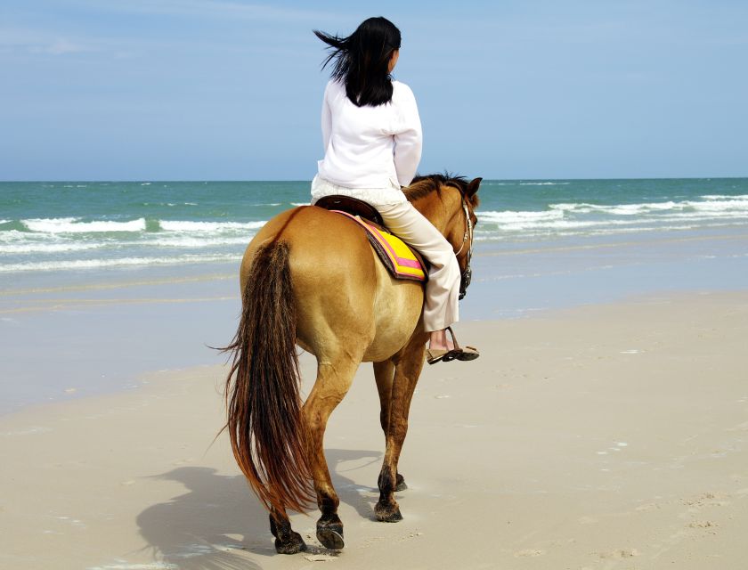 Kusadasi: Horse Riding Beach and Forest w/Transfer - Reaching the beach on horseback