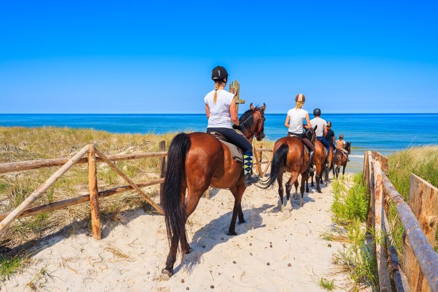 Kusadasi: Horse Riding Beach and Forest w/Transfer - Timing, comfort, and practical planning