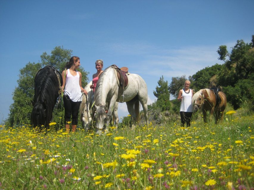 Kusadasi: Horse Riding Beach and Forest w/Transfer - Should you book this Kusadasi horse ride?
