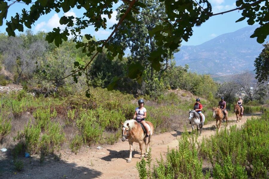 Kusadasi: Horse Riding Beach and Forest w/Transfer - A slow ride through pine trees and orange groves