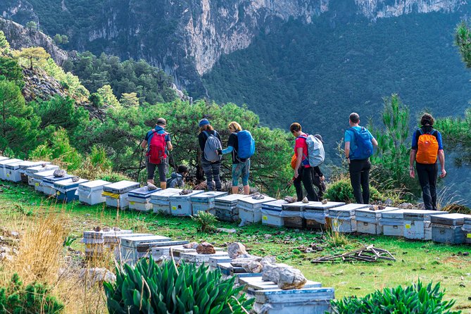 Lycian Way Trekking Tour (7 Days) - Day 4: Fourteen kilometers on a shorter trail day