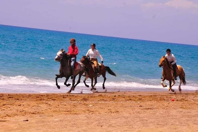 Manavgat Side: Horse Riding on the Beach and in the Forest - Pine forest paths and the river stop