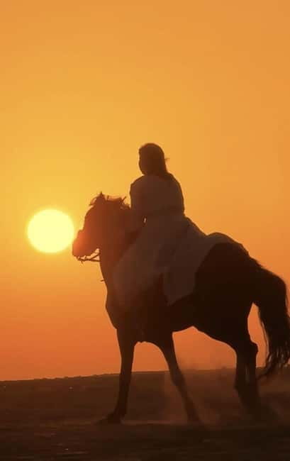 Manavgat Side: Horse Riding on the Beach and in the Forest - Small details that improve the outing