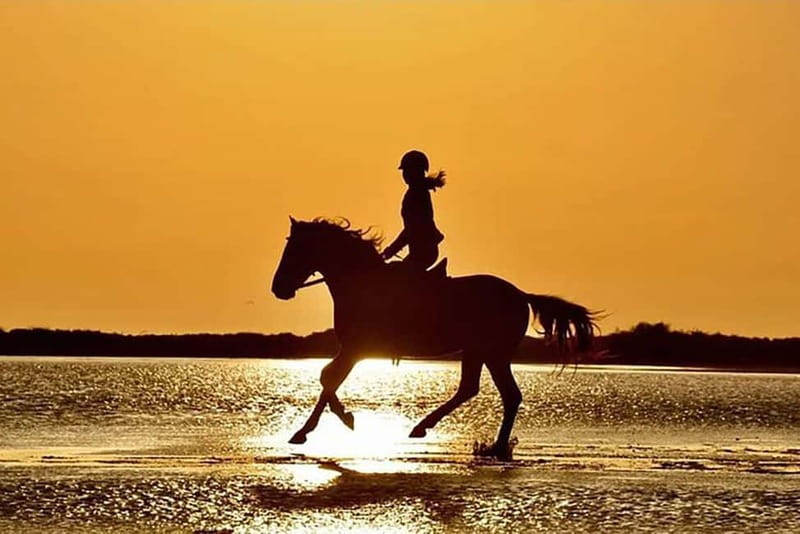 Manavgat Side: Horse Riding on the Beach and in the Forest - Getting comfortable in the saddle