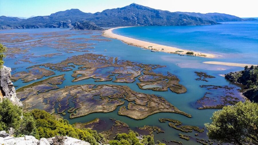 Marmaris: Dalyan Turtle Beach Tour with Mud Bath & Lunch - Who will enjoy this tour most