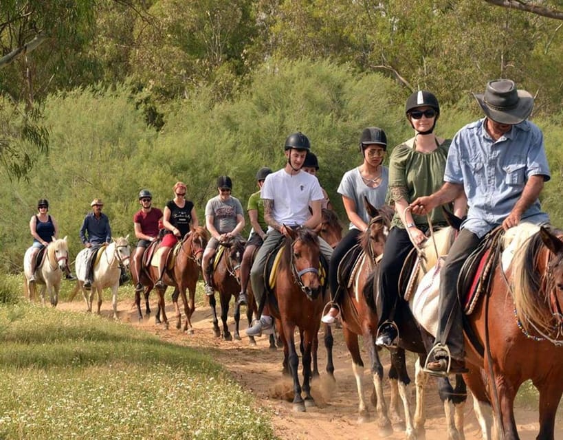 Marmaris: Horse Riding Experience with Hotel Transfers - Who will enjoy this Marmaris horse safari