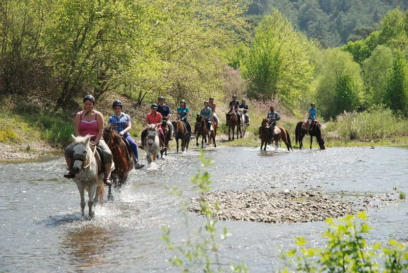 Marmaris: Horse Riding Experience with Transfer - Leaving Marmaris for the mountain ranch