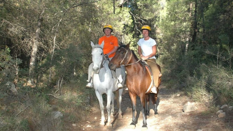 Marmaris: Horse Riding Experience with Transfer - The slow ride through pine and orange trees
