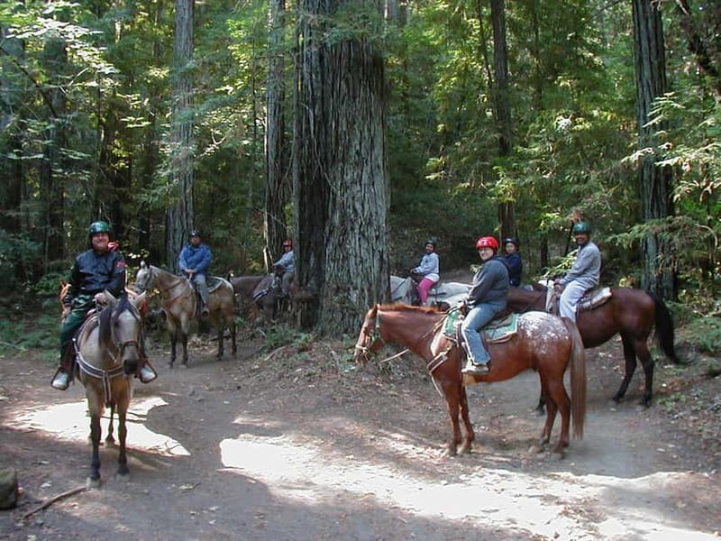 Marmaris: Horse Riding Experience with Transfer - Phones, lockers, and the photo question