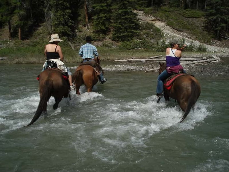 Marmaris: Horse Riding Experience with Transfer - Meeting the horses and getting ready