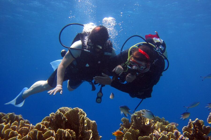 Marmaris: Scuba Diving Experience with 2 Dives and Lunch - Pickup around Marmaris and the trip to the boat