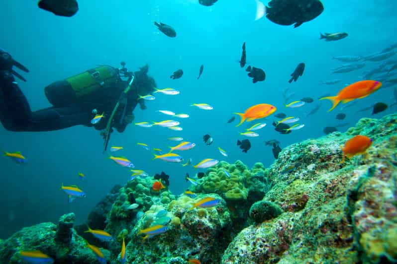 Marmaris: Scuba Diving with a Qualified Instructor - Two underwater sessions in Marmaris
